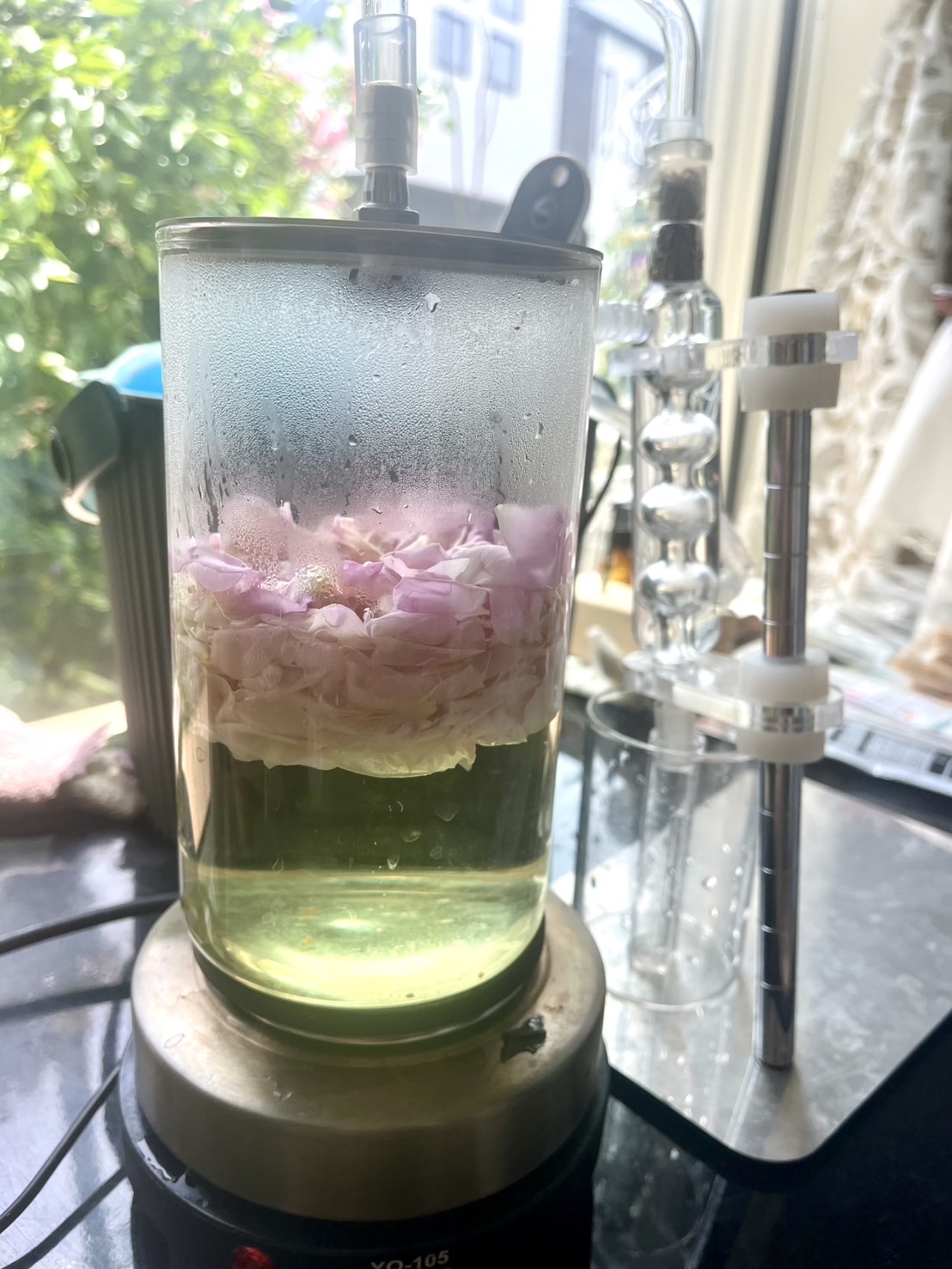 庭で育てた薔薇を蒸留している様子